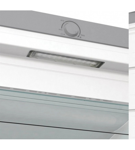 Морозильна камера Gorenje FN619FES5