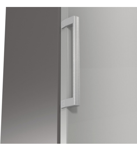 Холодильна камера Gorenje R619FES5