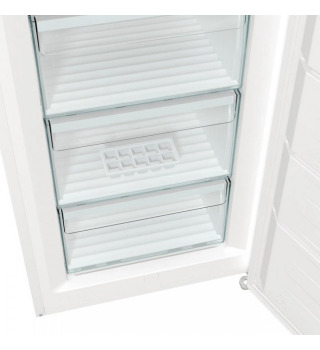 Морозильна камера Gorenje FN619EEW5